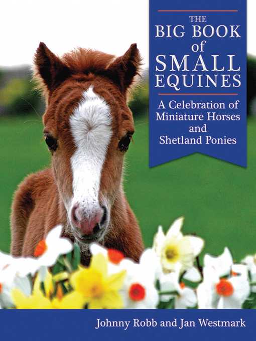 Cover image for The Big Book of Small Equines: a Celebration of Miniature Horses and Shetland Ponies